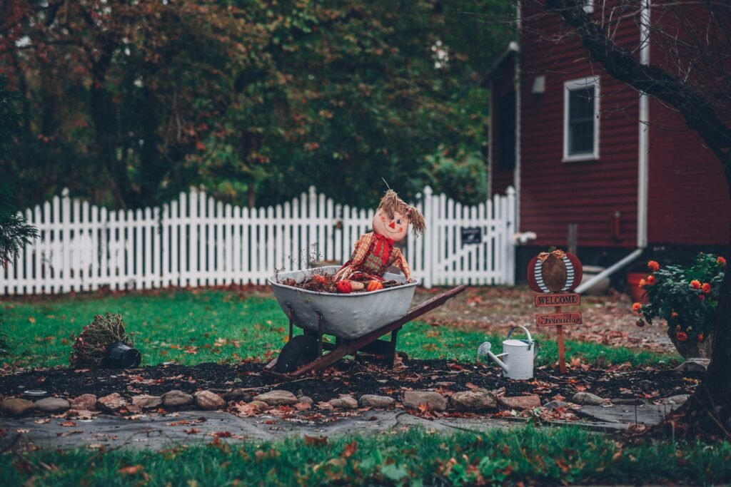 Scarecrow in a wheelbarrow in a fenced San Gabriel backyard during fall season