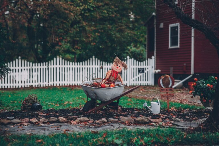 Scarecrow in a wheelbarrow in a fenced San Gabriel backyard during fall season