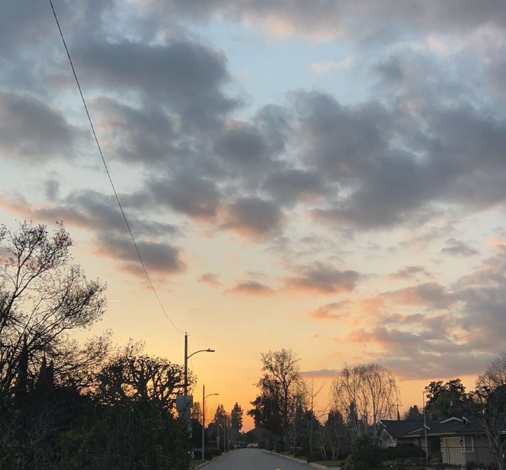 blue skies filled with clouds atop a sunset above a tree lined street in Temple City