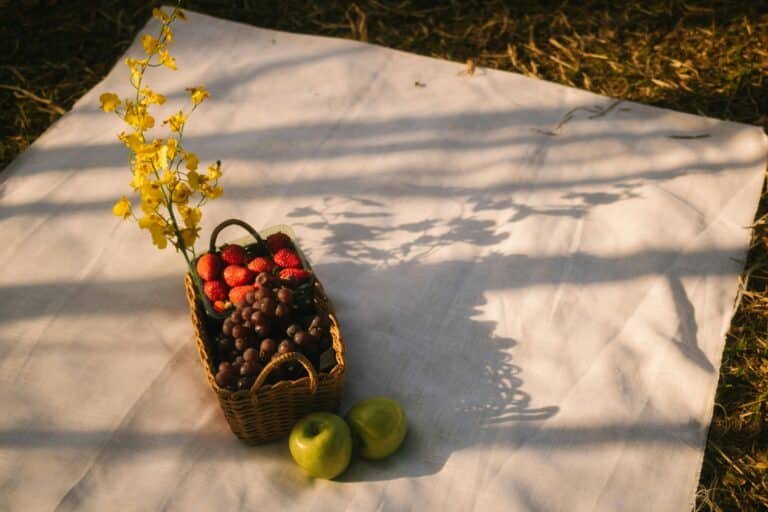 fall apples on top of a picnic blanket